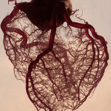 Heart Pic Heart Pic