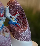 Respiratory Disease & Functional Fitness